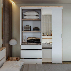 Шкаф-купе Брауни 1.5м в Мирном - mirniy.mebelnovo.ru | фото