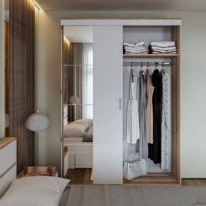 Шкаф-купе Брауни 1.5м в Мирном - mirniy.mebelnovo.ru | фото